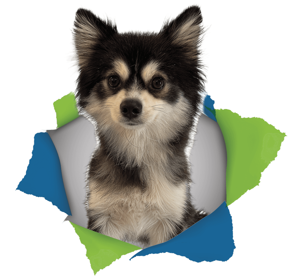 Maya - Mascotte Aquacalcaire ENR